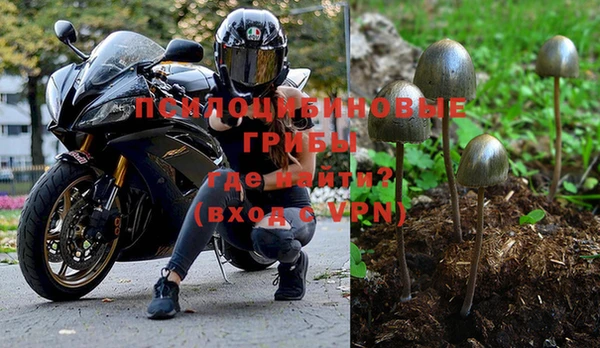 эйфоретик Краснотурьинск