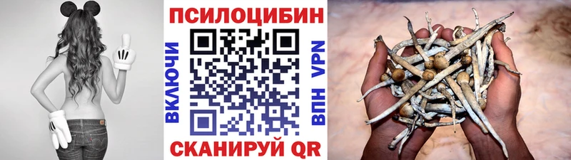 Псилоцибиновые грибы Psilocybe  OMG ССЫЛКА  Самара 